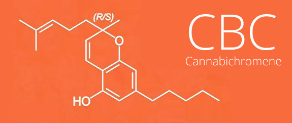 CBC – Cann Clinic